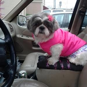 Meet your Posher, Jeannie